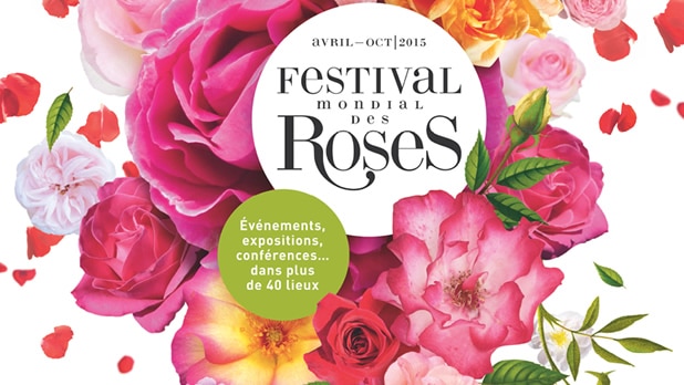festival-roses