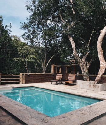 Terrasse en béton avec un piscine et des transats sous les arbres